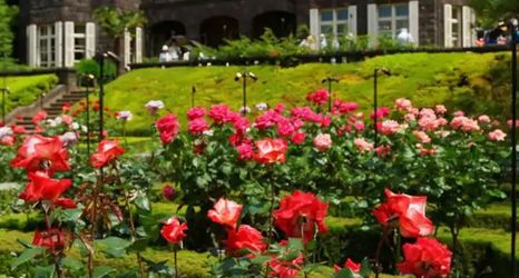 기타 2 Maison de Takinogawa102