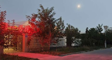 其他 2 Dunhuang Mingyang International Luxury Lodge