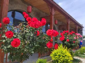 Others 4 Taoyuan Xianxuan