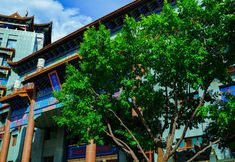 Others 7 Pad Rest Hot Spring Holiday Inn