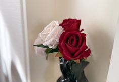 Others 5 Sapporo Teine House