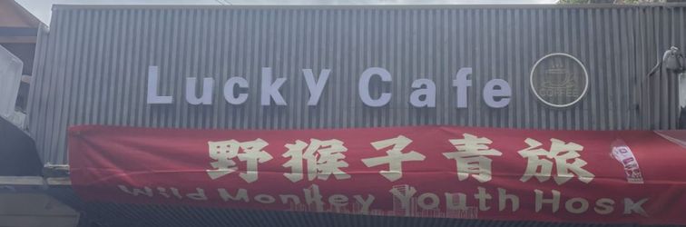 Others Wild Monkey Hostel