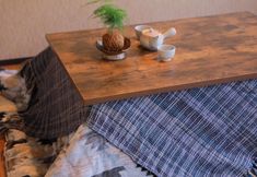 Khác 4 Dotonbori 51, Kansai Airport direct bus stop 2 minutes