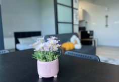 Others 5 JQ Peanut & Angel Homestay 3 High Floor CitySeaview/6pax/Netflix