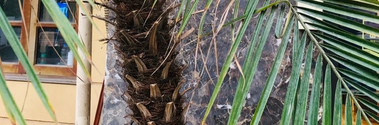 Others Nesta Apartment 91 Ly Thuong Kiet