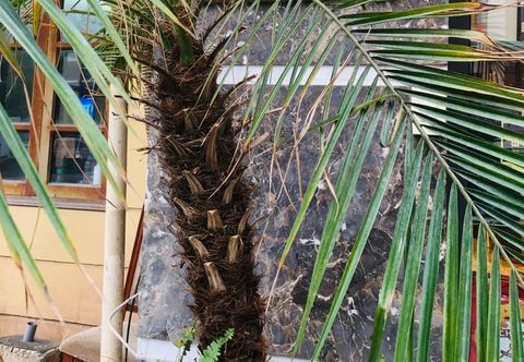 Others Nesta Apartment 91 Ly Thuong Kiet