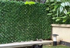 其他 5 Boutique Suite