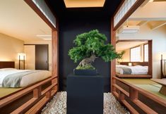 其他 5 KONJAKUSO Osaka Tempozan "SHOHAKU" Pine Tree