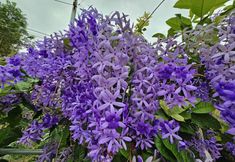 其他 6 TonLiw Hotel