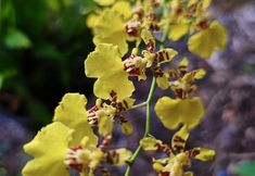 其他 5 TonLiw Hotel