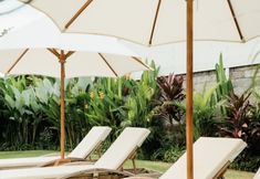 Others 3 3BR Villa • Pool • XL Garden • Beautiful Rice Paddy View • Tumbak Bayuh/Pererenan