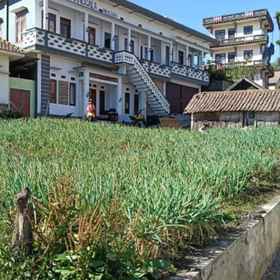 Logo 1 Manggala Homestay Bromo, Probolinggo Hotels