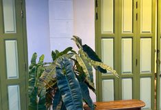 その他 3 Baan Lek Tee No.6 | Chinatown near Yaowarat & MRT