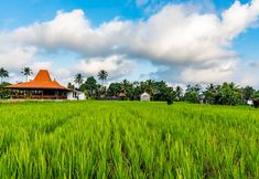 Others 7 Akshaya Villa Ubud