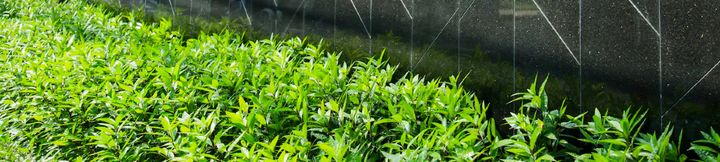 기타 3 Circle Sukhumvit 11 (Room 85)