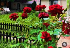 其他 4 Ethno Adventure Camp