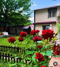 其他 4 Ethno Adventure Camp