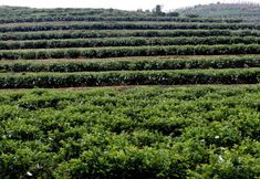 Khác 6 Lvhu Bay Hotel