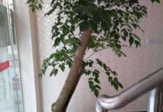 Khác 4 Zunyi Lesheng Home Inn