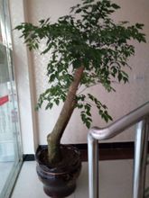 Khác 4 Zunyi Lesheng Home Inn