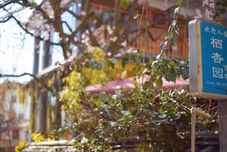 Others Qixingyuan Inn