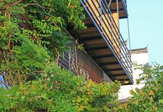 อื่นๆ 6 Qingli Bieyuan