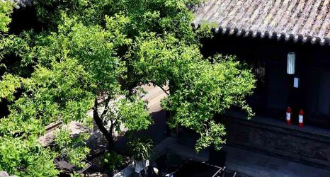 Others 2 Elsewhere Hotel Inn North Street Branch