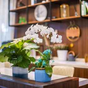 Hotel Exterior 1 เดยิน ฉีซี โฮมสเตย์, โรงแรม & ที่พัก Xu Yanglu