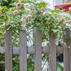Hotel Exterior 1 Xihu 78 Lagerstroemia boutique hotel, Le Meridien Binjiang Shirong Hotels