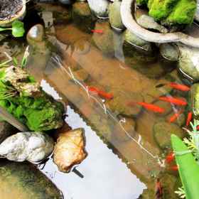 Hotel Interior/Public Areas 1 Dali Liuyue Inn (Ancient City South Gate), Hotel Namaste