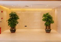 Others 7 Companion Departure Hotel(Guangzhou Xiaobei Metro Sation)