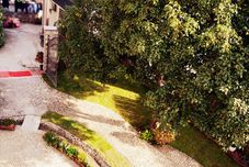 อื่นๆ Sweetolive Inn