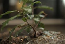 Others Muhaitingfeng·Banshan Seaview Hotel (Dali Jinsuo Island Branch)