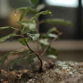 Others 1 Muhaitingfeng·Banshan Seaview Hotel (Dali Jinsuo Island Branch), Midu Xian Hotels