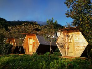 Others 4 Fengchaoyizhan