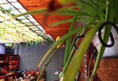 Others 7 The Second Theme Inn in the World (Yunshuiyao Branch)