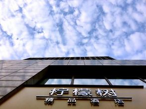 其他 4 Lemon Tree Hotel