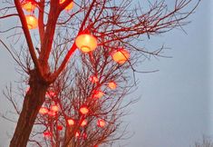 Others 5 Pingyao Hongxing Guest House