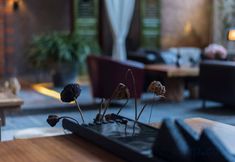 Others 4 Moshe Gucheng Rongyuan Hostel