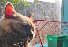 Lain-lain 2 LongIsland Youth Hostel