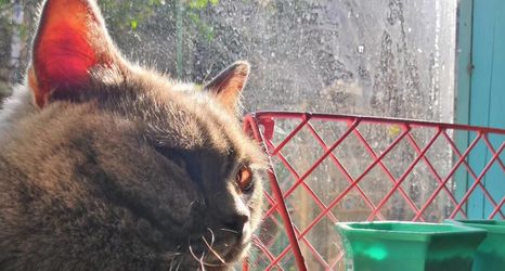 Lain-lain 2 LongIsland Youth Hostel