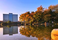 その他 3 Auspicious Phoenix Hotel