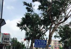 Others 2 Yacheng hoteI