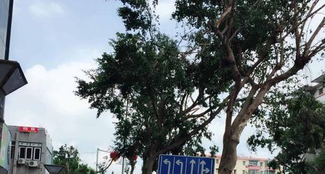 Others 2 Yacheng hoteI