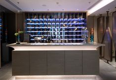 Others 5 The LinYin Hotel of Wuhan International Expo Center