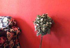 Lain-lain 4 Tianjin Lulujia Star Apartment