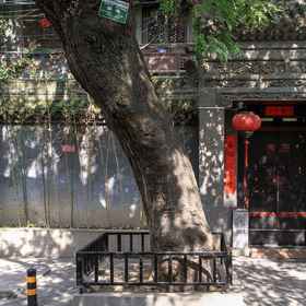 Hotel Exterior 1 Old locust Homestay, 시안 호텔