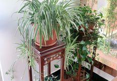 기타 6 Shanghai Xiangxuan Hotel