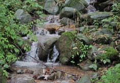 Lain-lain 7 Suijiang Lanyun Villa