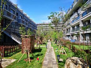 Others 4 V-Live Wtown Resorts